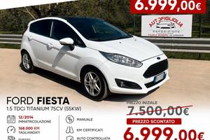 Ford Fiesta 1.5 TDCi 75CV 5 porte Titanium 2014