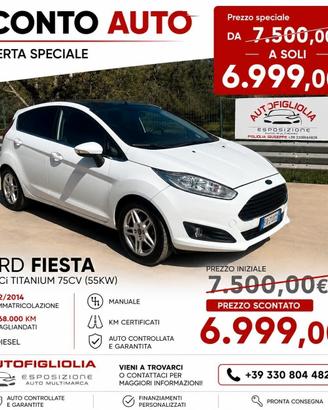 Ford Fiesta 1.5 TDCi 75CV 5 porte Titanium 2014