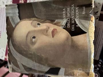 La camera degli sposi di Mantegna a Mantova