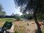 Immagine 26