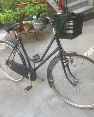 Bici da passeggio