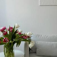 Splendido bicamere a Piovene