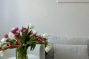 Splendido bicamere a Piovene