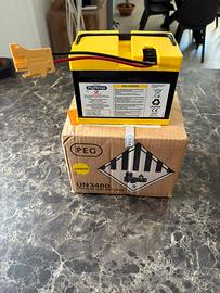 Batteria 24v Peg Perego