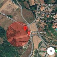 Terreno di 13.000 mq di cui 400 mq edificabili