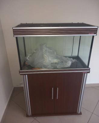 Acquario pesci