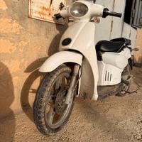 scarabeo 50 2T piaggio 
