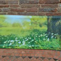Canvas quadro su tela Prato fiorito