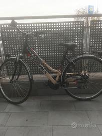 bicicletta da corsa vintage da donna con passeggin