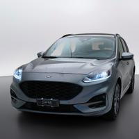 FORD Kuga III 2020 - Kuga 2.0 ecoblue ST-Line 2wd