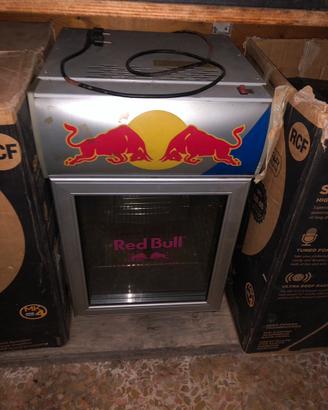 Frigo Red Bull
