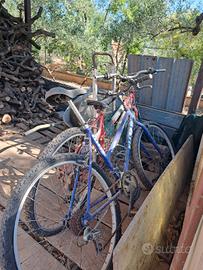  biciclette tutte da donna
