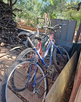  biciclette tutte da donna