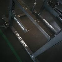 Pro Power Rack Lacertosus 