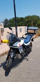 Honda XL 750 Transalp - 2024