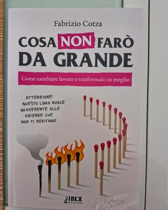 cosa non farò da grande 