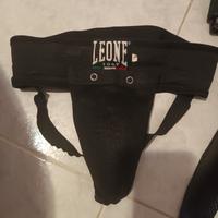 conchiglia leone taglia l