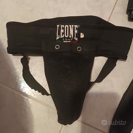 conchiglia leone taglia l