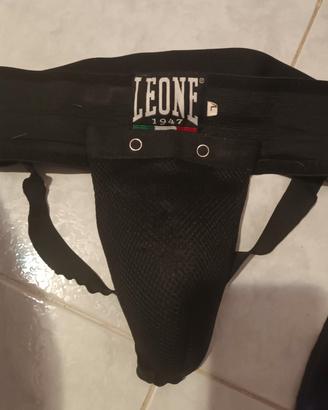 conchiglia leone taglia l