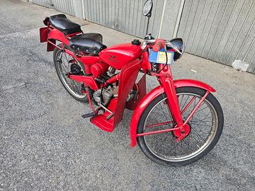 Moto Guzzi Cardellino (73cc/83cc) – Icona Vintage 
