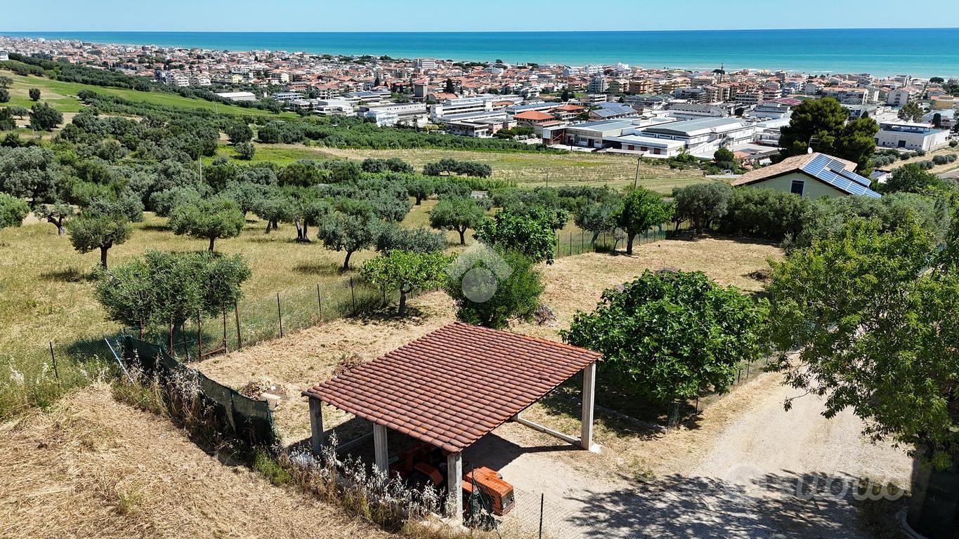 TERRENO A TORTORETO - Vista 3