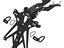 Immagine 12