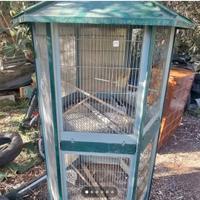 accessori per animali 