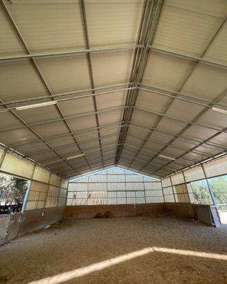 Capannone/Tensostruttura zincata smonabile