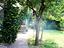 Immagine 9