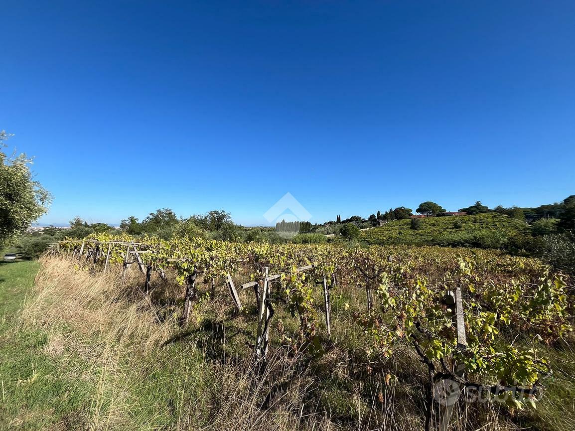 TER. AGRICOLO A FRASCATI - Vista 3