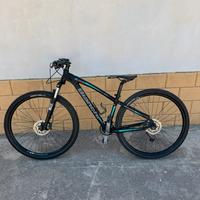 Bianchi kuma 29.1