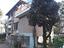 Immagine 17