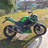 Kawasaki Z 300 2015 ABS patente A2