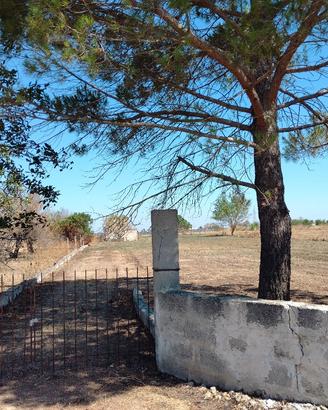 terreno agricolo di 2200mq con piccolo annesso 