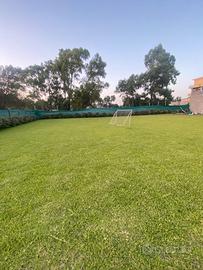 1400 mq terreno parzialmente edificabile (1200 mc)