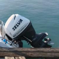 selva 115 hp 4 tempi iniezioni 2006