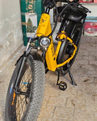 Bicicletta Elettrica Engwe E26