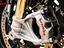 Immagine 19