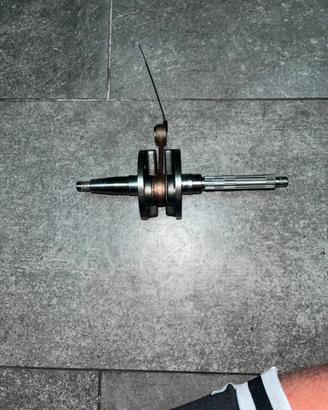 Albero top performance