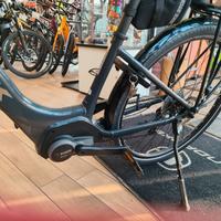ebike Trek bicicletta elettrica e-bike