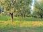 Immagine 4