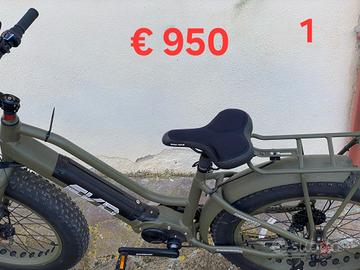  E-Bike con pedalata assistita