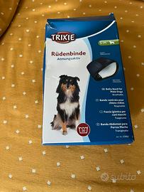 Fascia igenica x cani