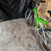 bicicletta  mountain-bike 