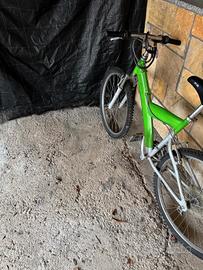 bicicletta  mountain-bike 