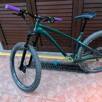 Dartmoor hornet 27.5