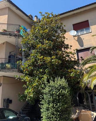 Attico/Mansarda Contigliano [Cod. rif 3326178VRG]