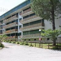 Pescasseroli prato verde1