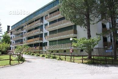 Pescasseroli prato verde1