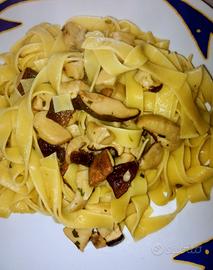 Cuoco Aiuto Cuoco Solo Provincia di Parma